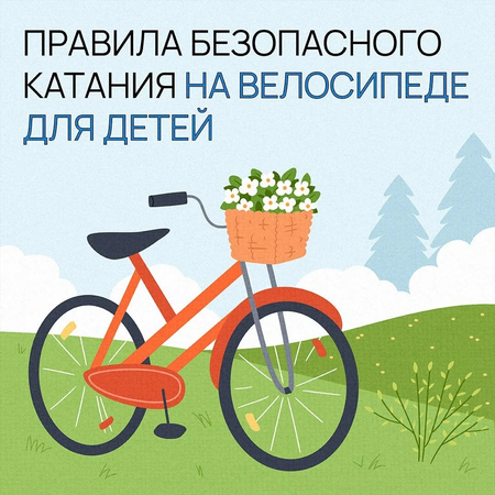 ​Лето — время велосипедов ☀️🚴🏻