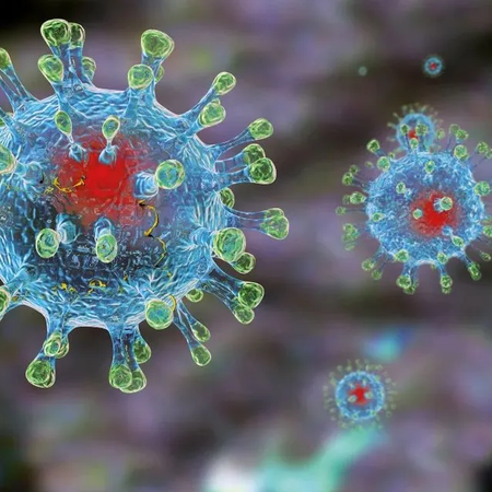 Профилактика гриппа и коронавирусной инфекций