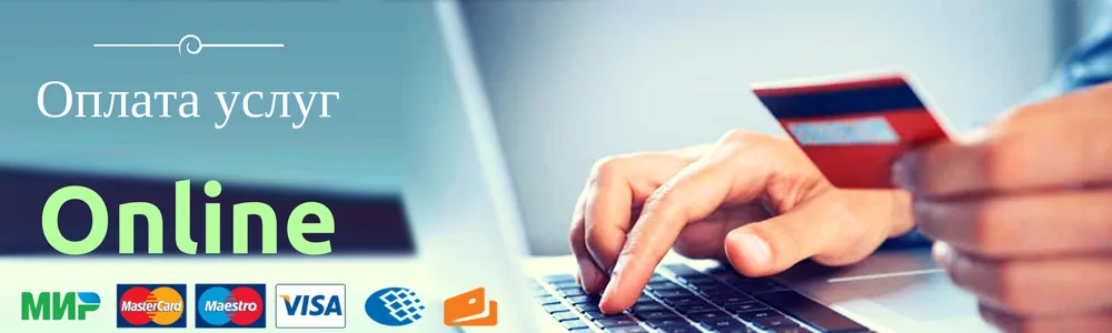 Оплата услуг БМАУ СОК "Лидер"