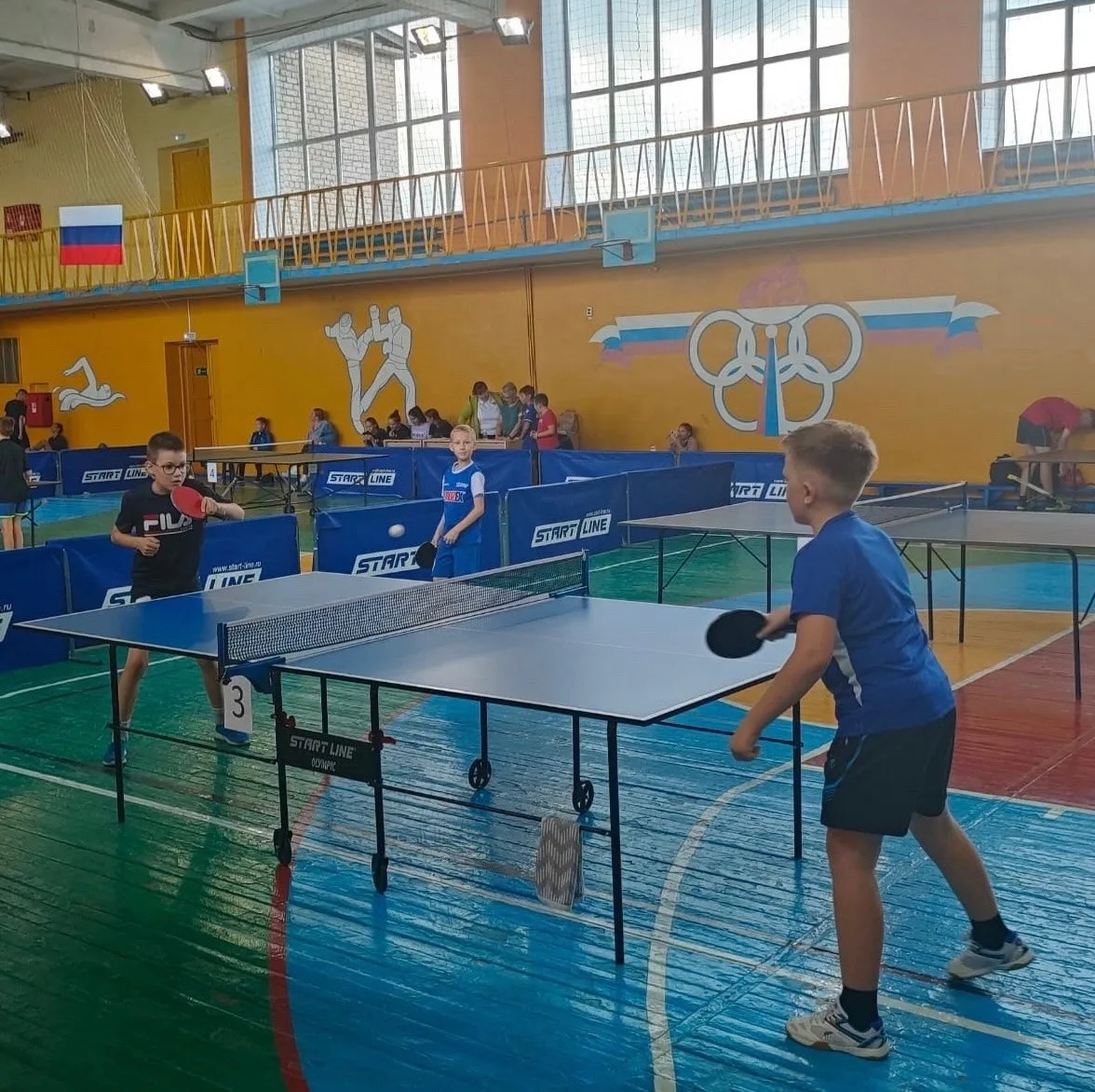 Открытый турнир по настольному теннису памяти А.М.Сысолятина